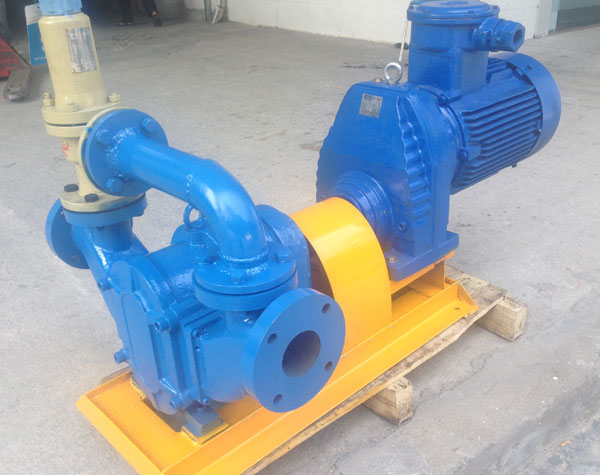 旋轉(zhuǎn)凸輪泵維護，提高其性能與效率