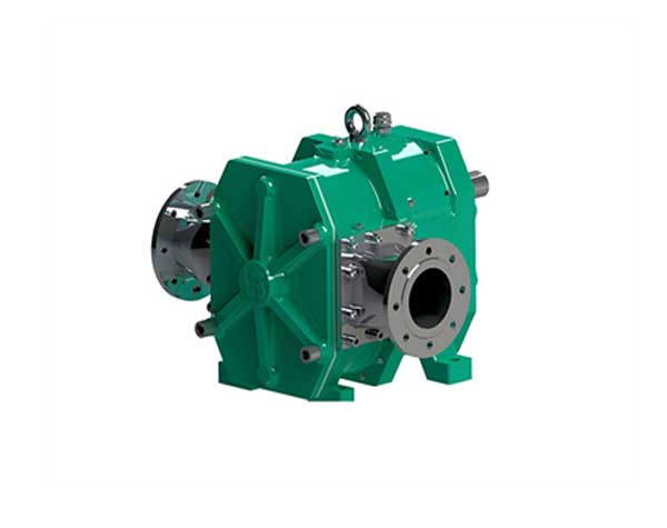 購買凸輪轉(zhuǎn)子泵需了解什么?該如何選擇?