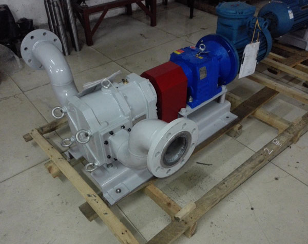 不銹鋼轉(zhuǎn)子泵生產(chǎn)廠(chǎng)家