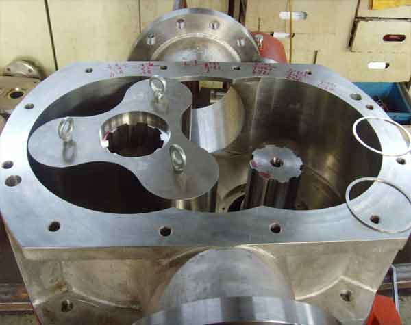 轉(zhuǎn)子泵生產(chǎn)廠家如何選擇?需要考慮什么方面?