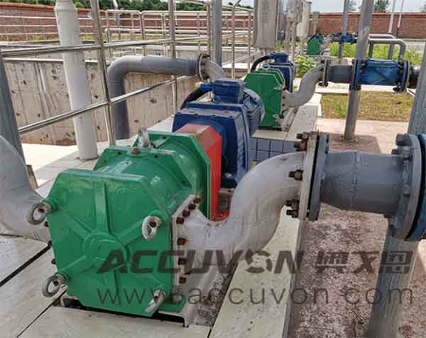 購(gòu)買污泥輸送泵要考慮哪些問題?