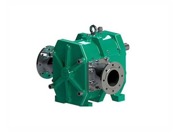 如何選擇凸輪轉(zhuǎn)子泵?有什么樣的選擇標(biāo)準(zhǔn)?